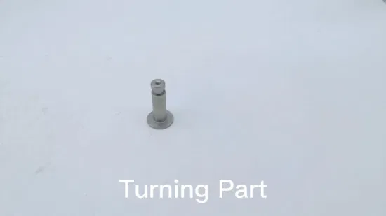 La macchina del tornio su ordinazione parte le viti dei bulloni del rivetto del giunto cilindrico dell'acciaio inossidabile dei pezzi meccanici di precisione di CNC
